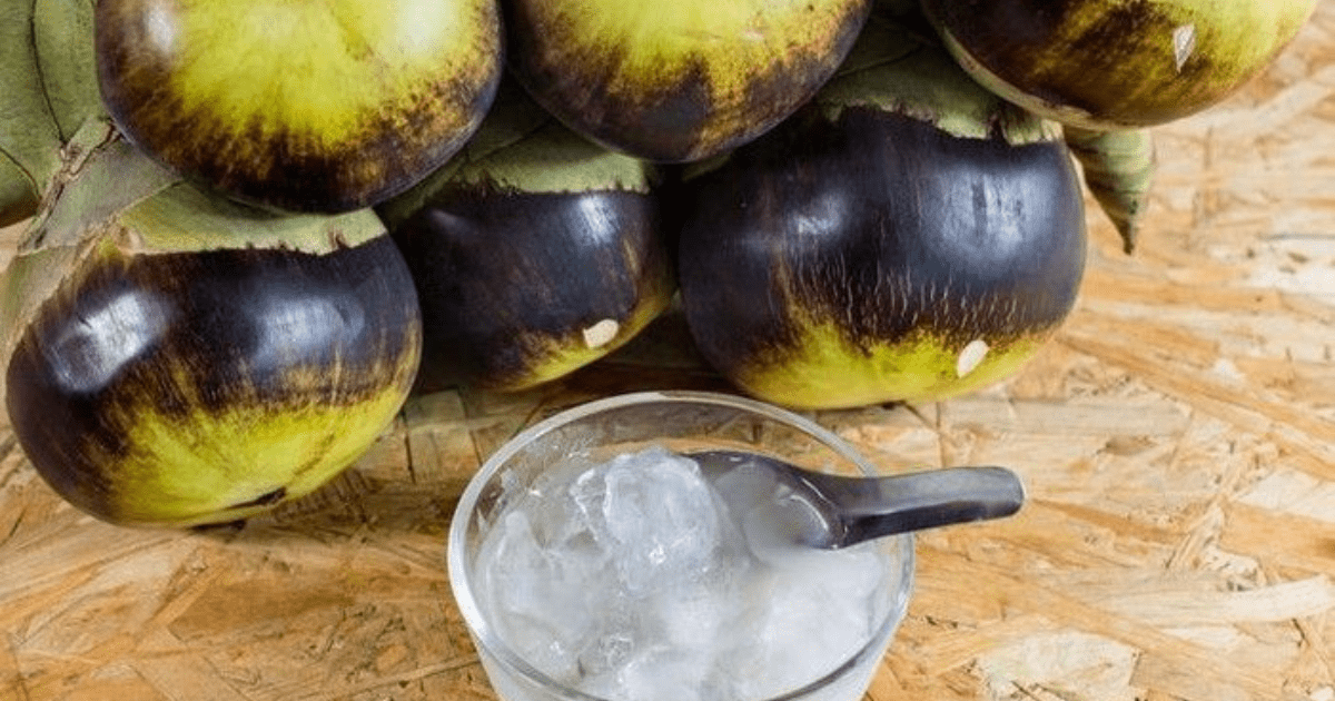 5 Manfaat Air Legen: Minuman Manis Jawa yang Segar!