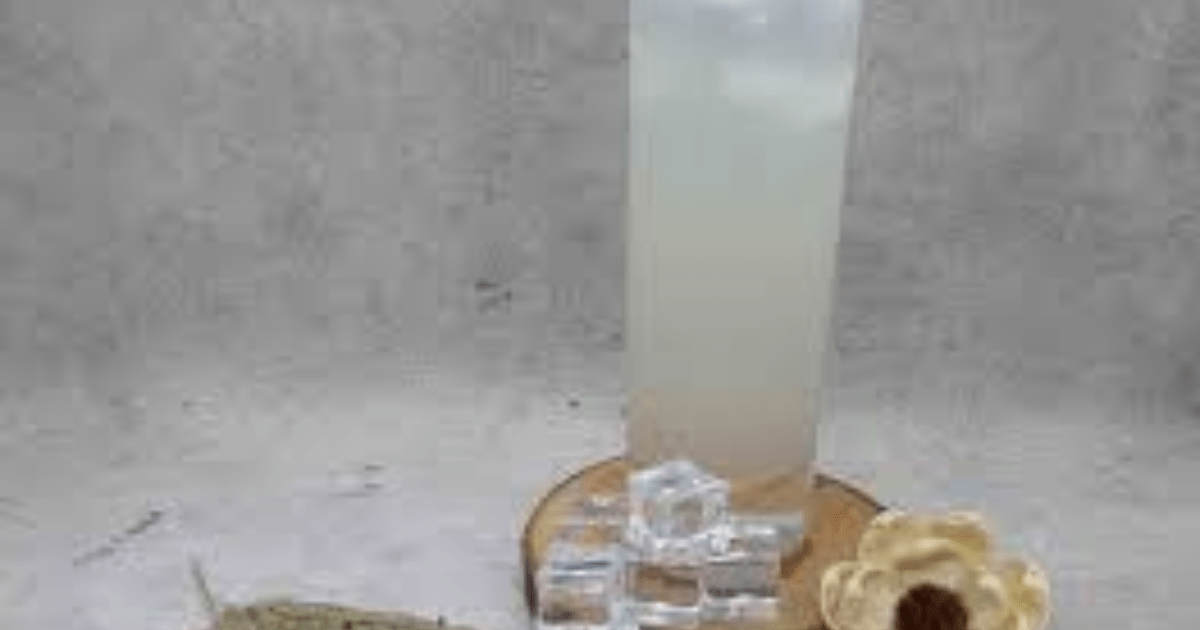 Resep Badeg Minuman Fermentasi Aren 2025