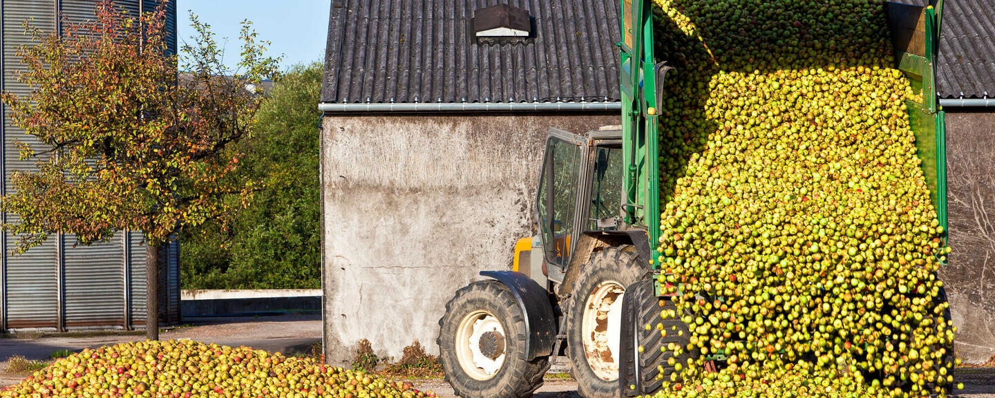 Kebun atau Pabrik Minuman? Kontroversi Alkohol dari Pertanian